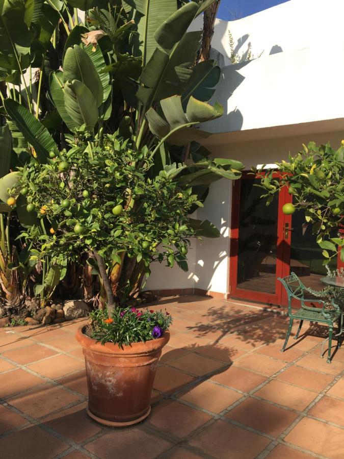 The Oasis Boutique Hotel & Residency Joanesburgo Exterior foto